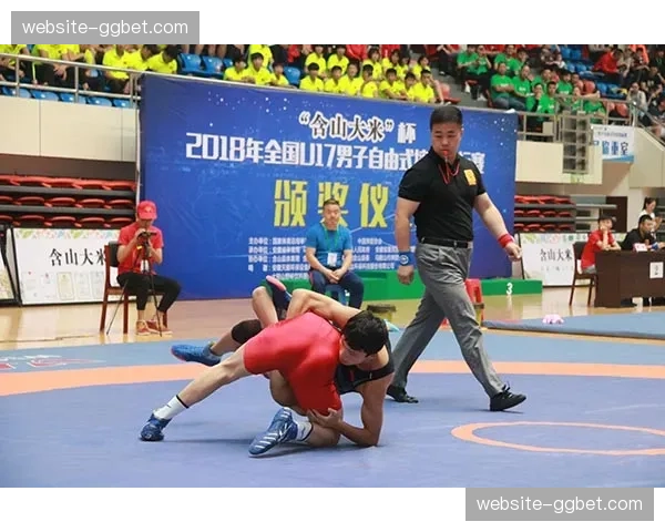 俄罗斯摔跤协会因“违规使用国家资助”受到国际摔联调查 俄罗斯摔跤协会因“违规使用国家资助”受到国际摔联调查